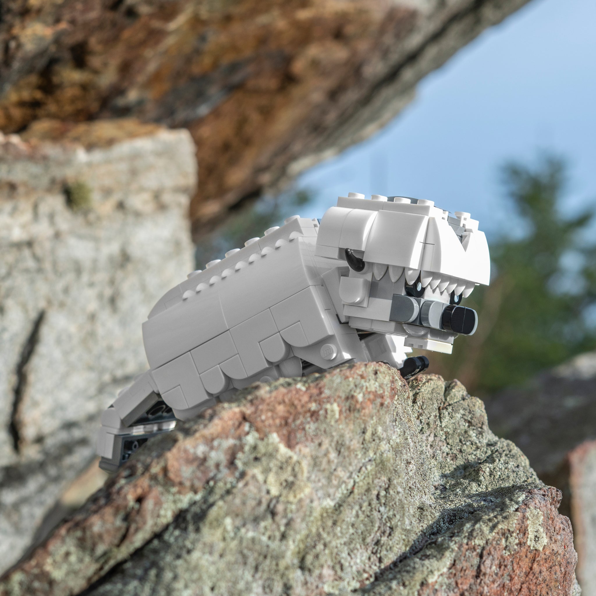 Mini Models