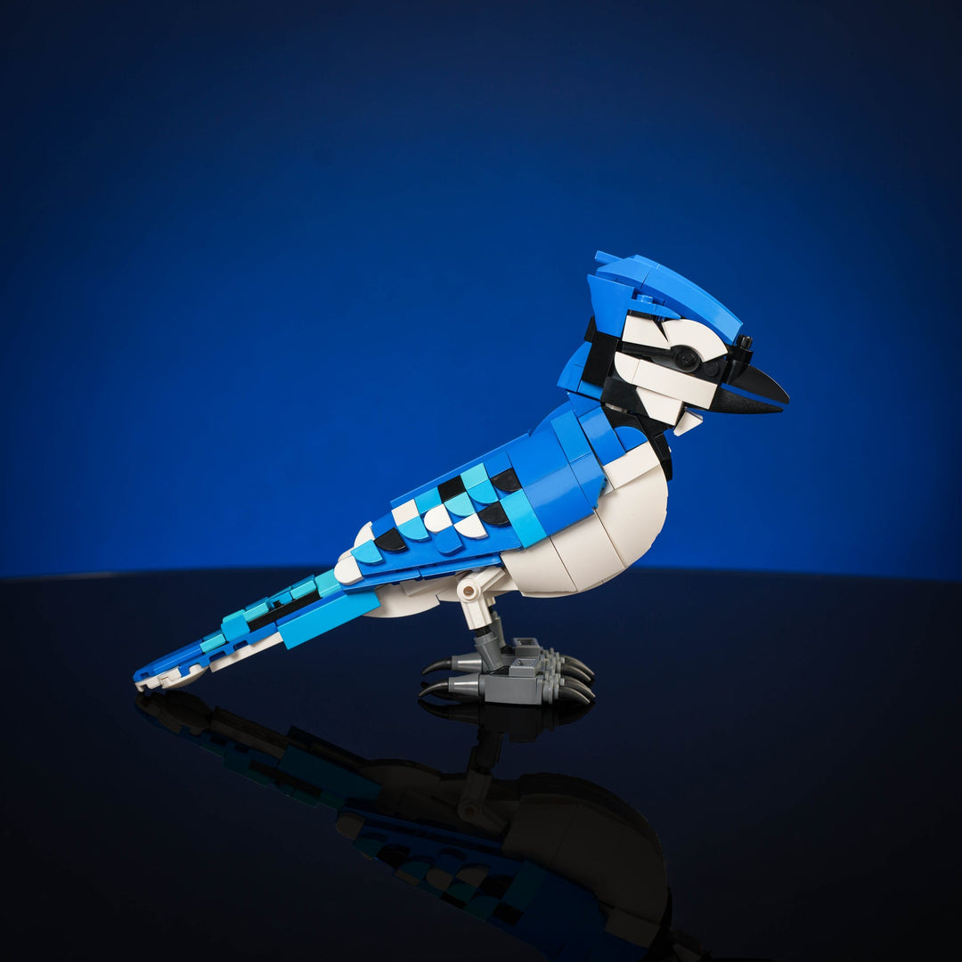 Blue Jay Instructions