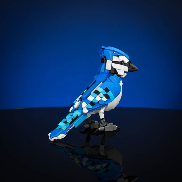 Blue Jay Instructions