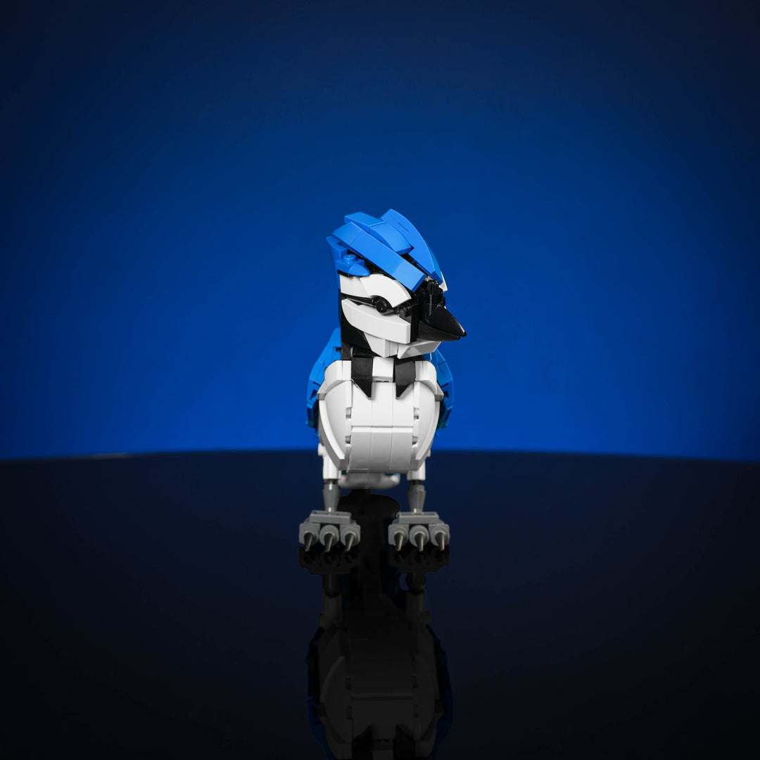 Blue Jay Instructions