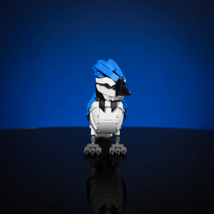 Blue Jay Instructions