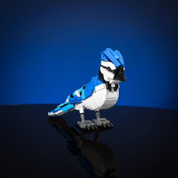 Blue Jay Instructions