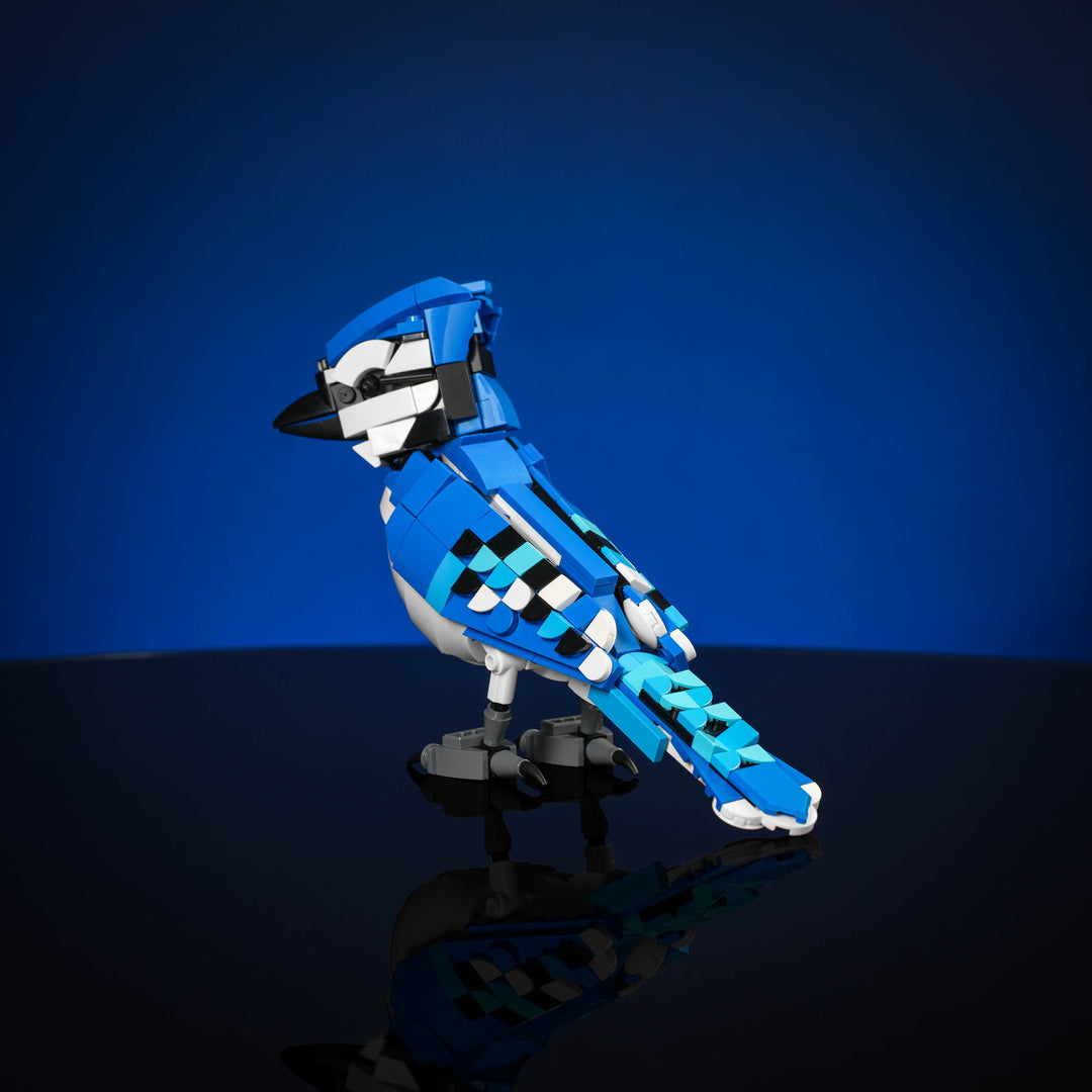 Blue Jay Instructions