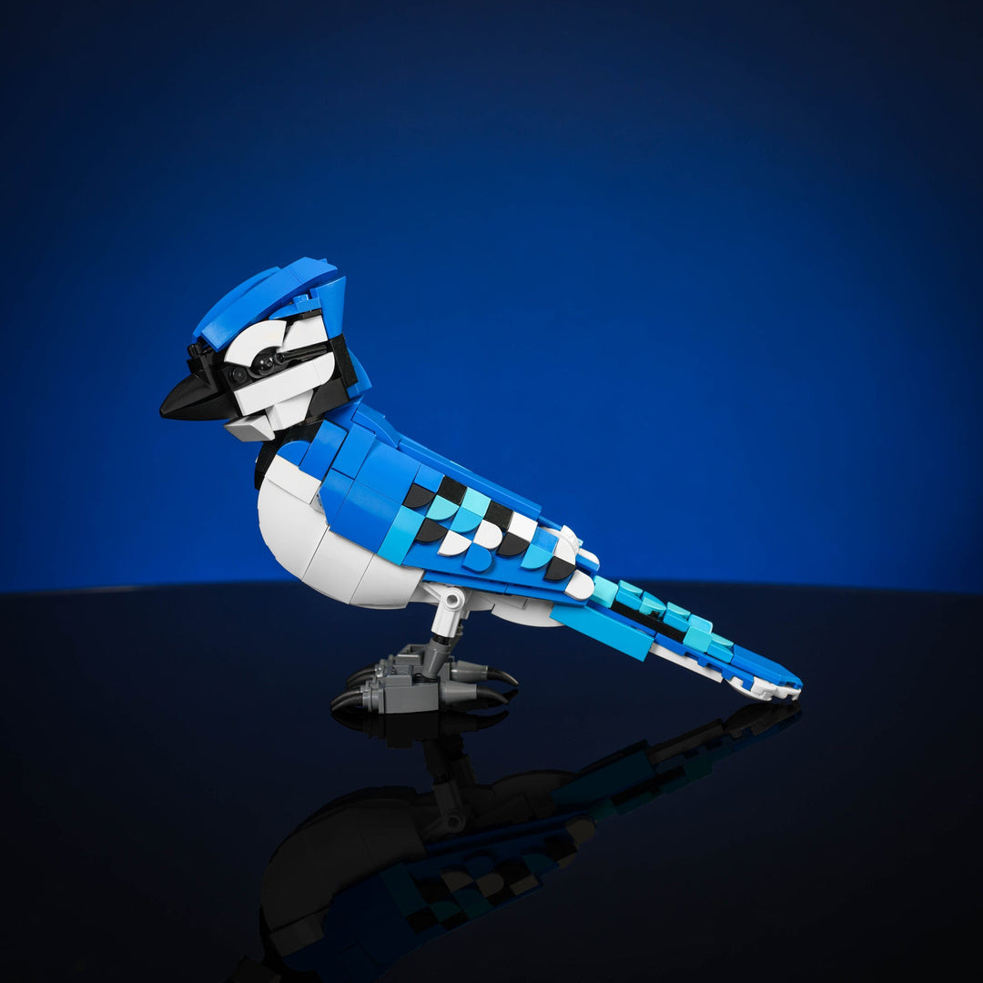 Blue Jay Instructions