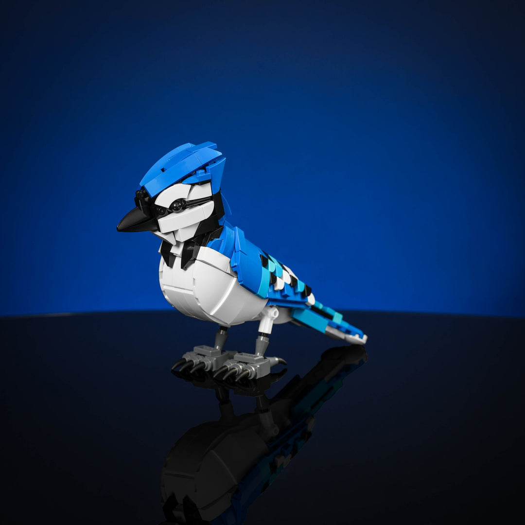 Blue Jay Instructions