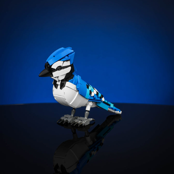 Blue Jay Instructions