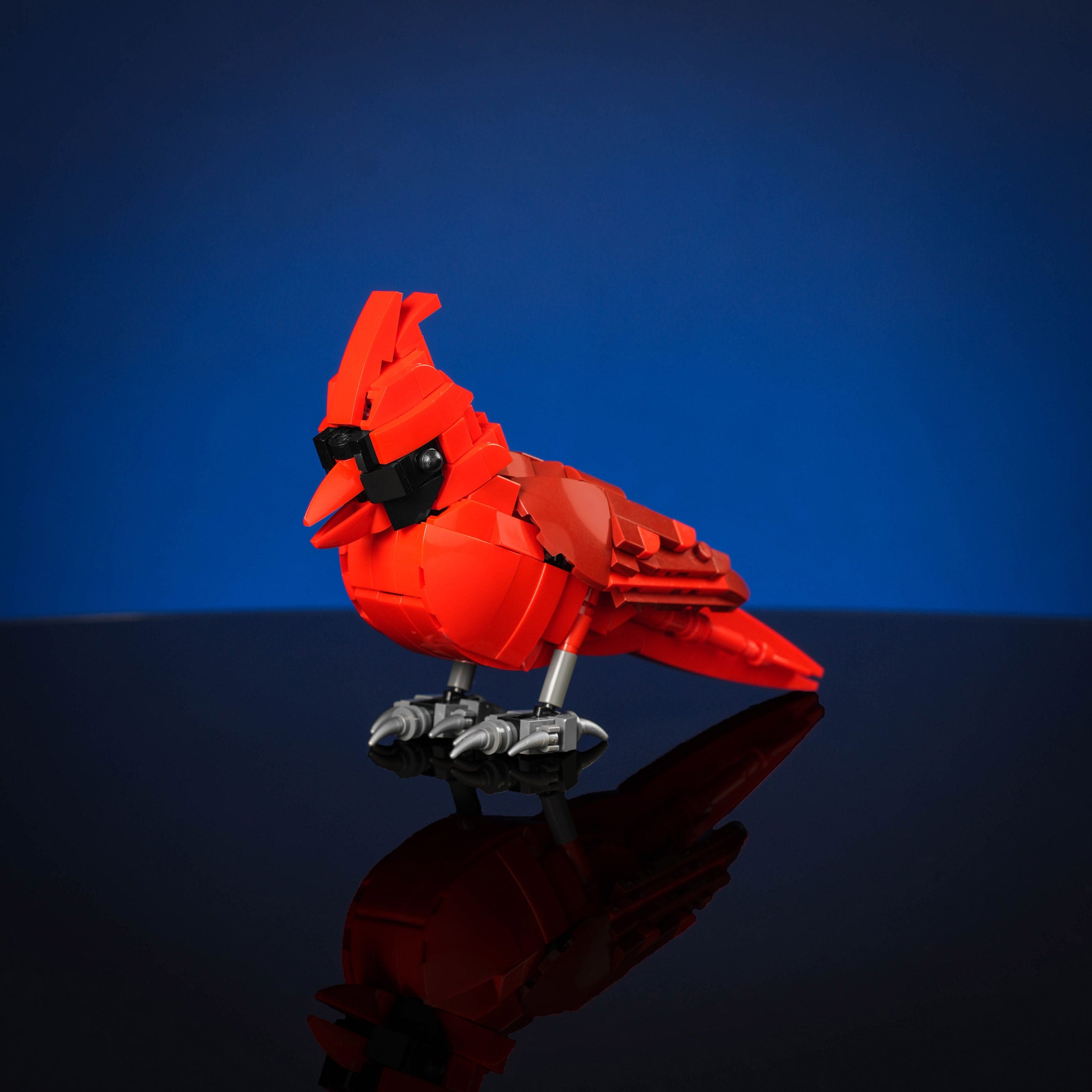 Cardinal | Build it Yourself with LEGO®