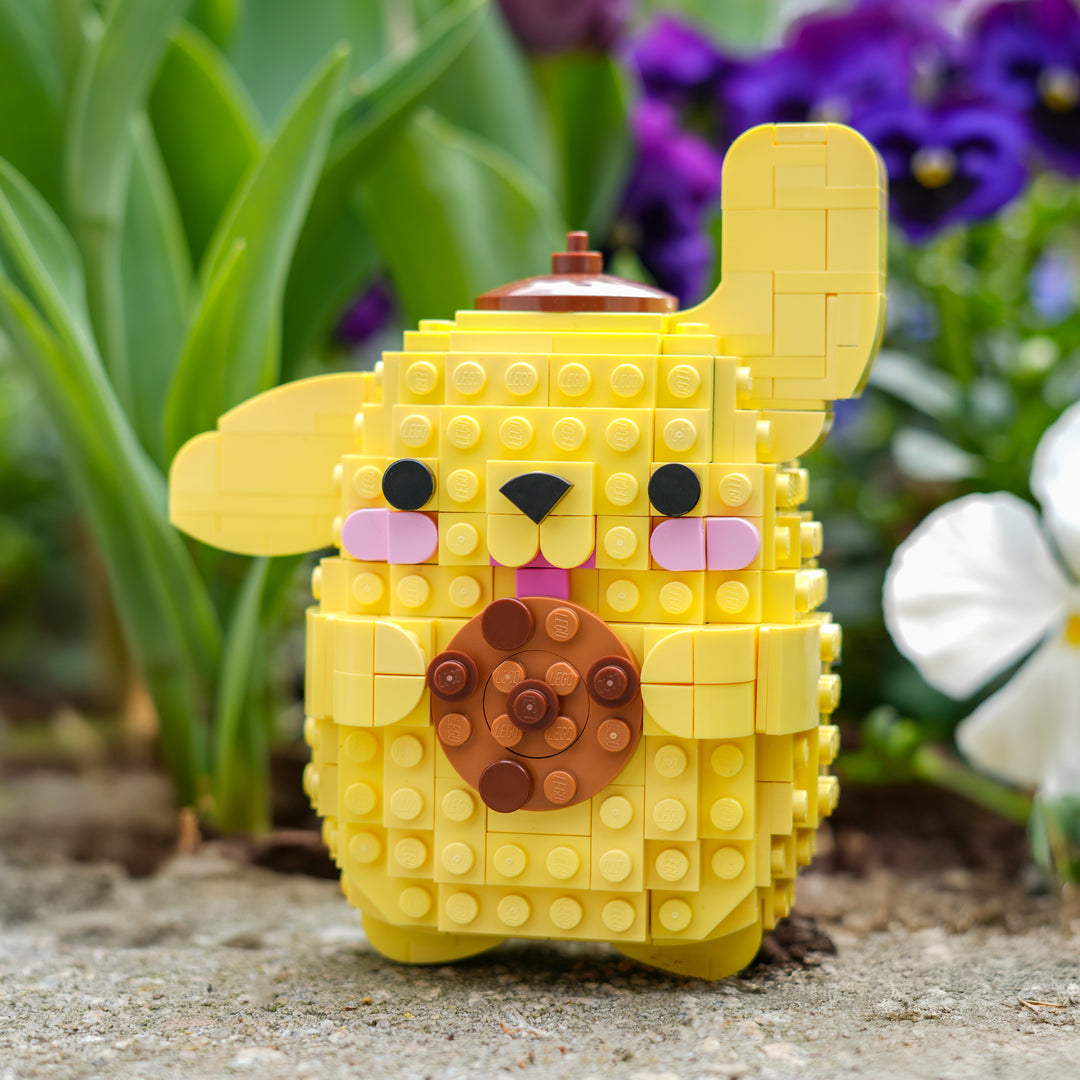 Cute Kitten & Friends