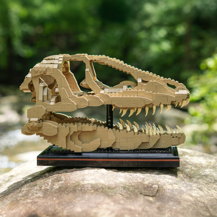 Cráneo de raptor