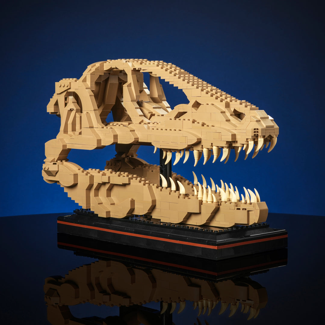 Cráneo de raptor