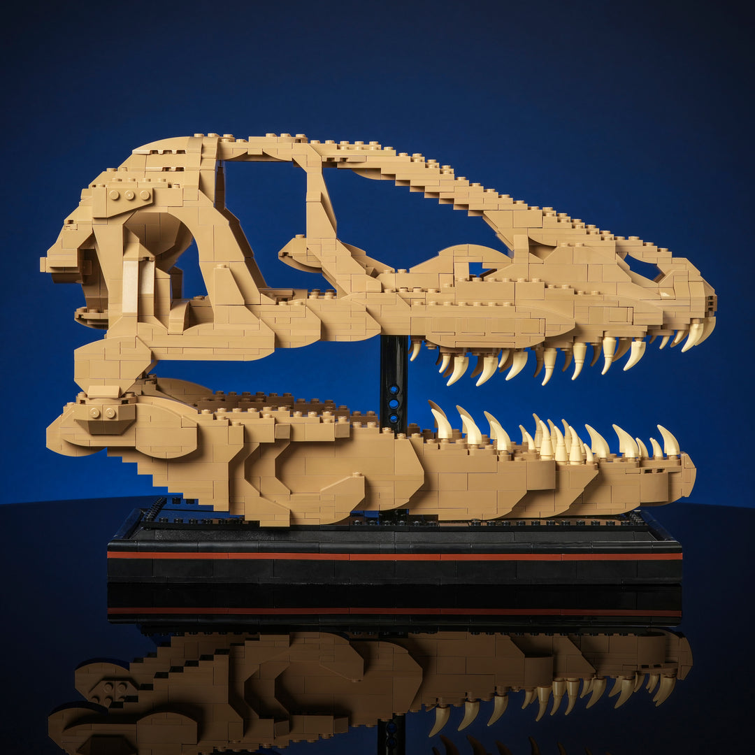 Cráneo de raptor