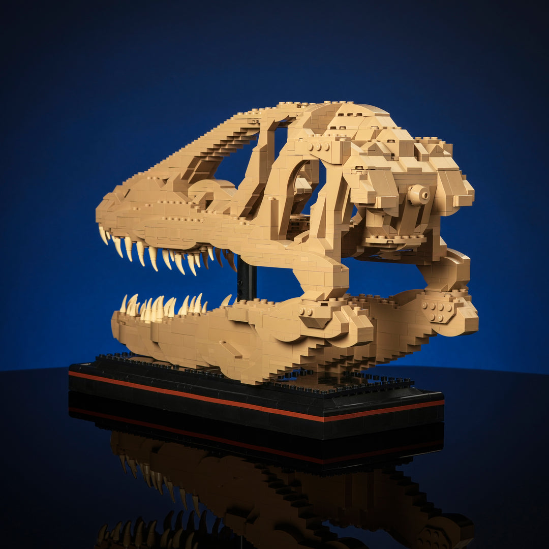 Cráneo de raptor