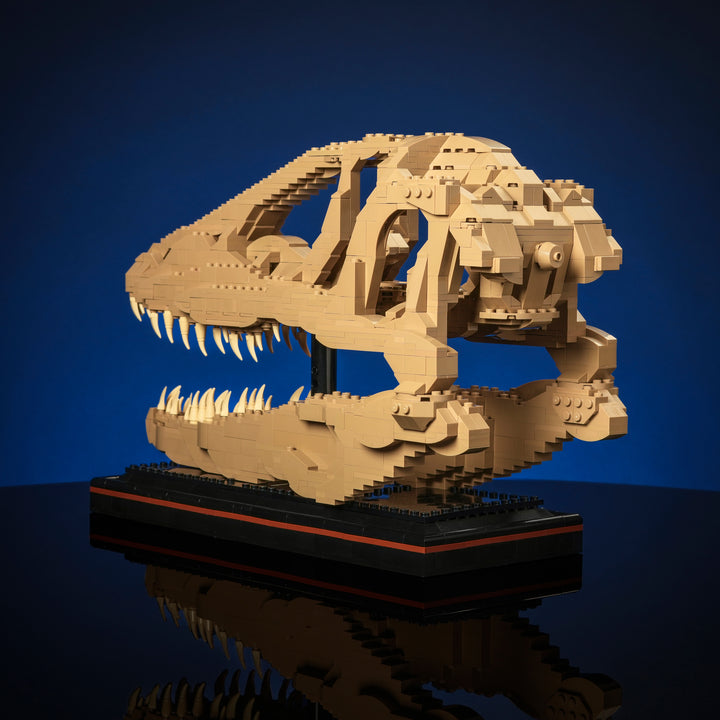 Cráneo de raptor