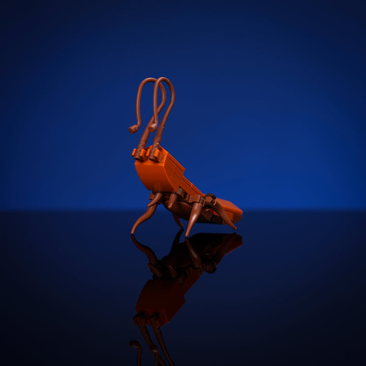 L'ami de SCRAP-E
