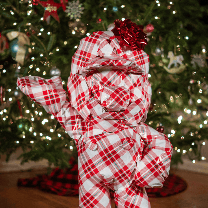 Italian Plumber made of LEGO bricks wrapped in plaid gift wrap paper under a christmas tree