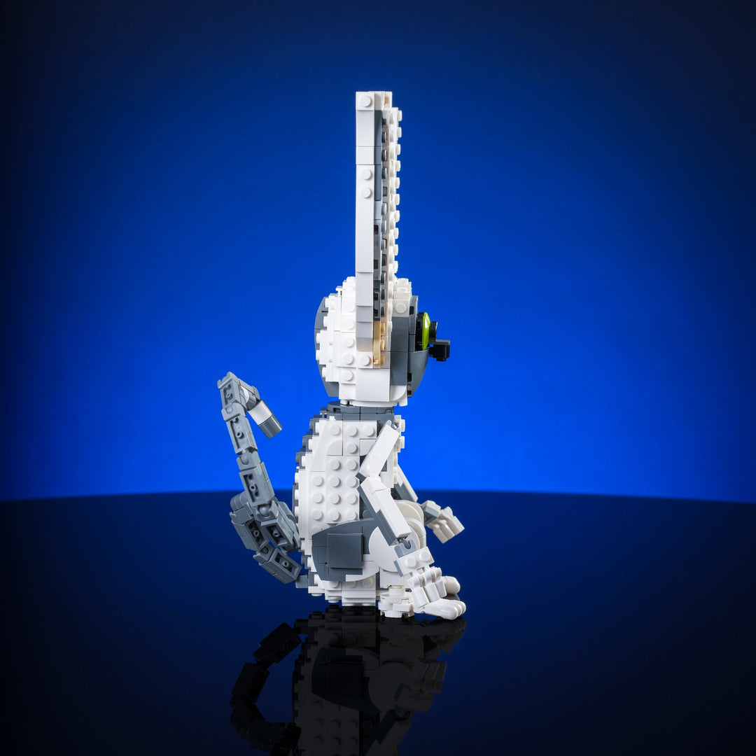 Air Lemur Instructions