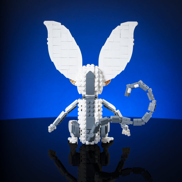 Air Lemur Instructions