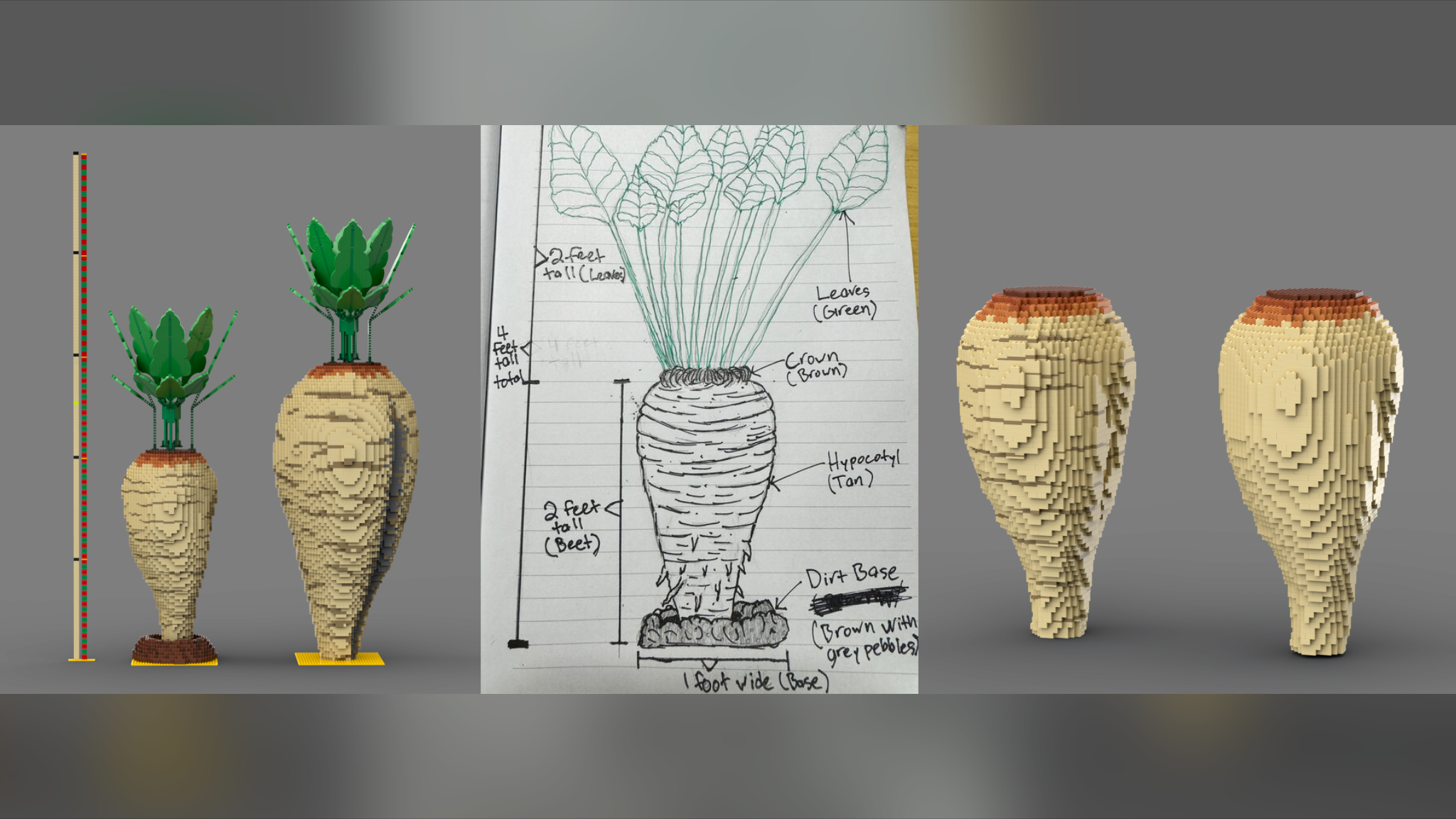 Custom Sugar Beet Design Installation Design Process with Corporate Client Fast Turnaround