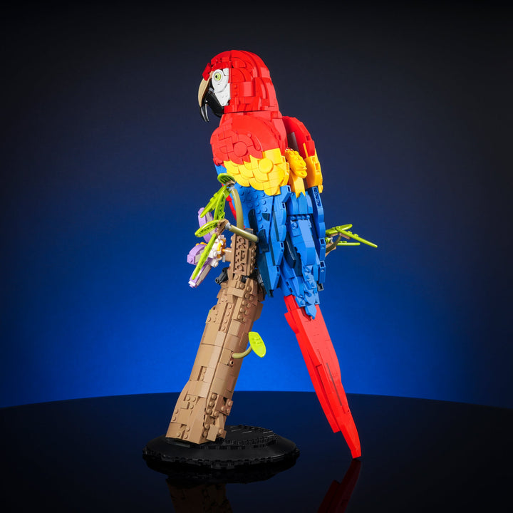 Scarlet Macaw Instructions
