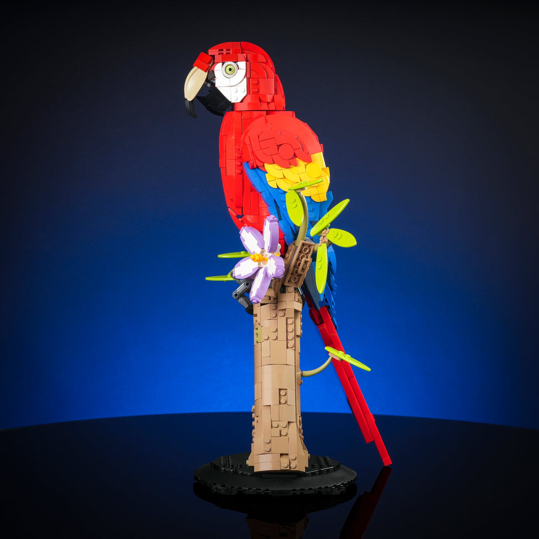 Scarlet Macaw Instructions