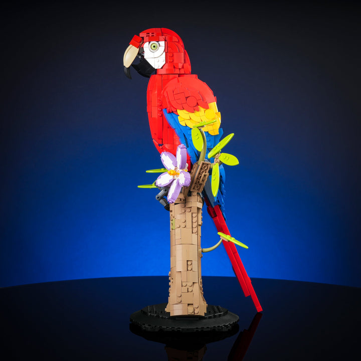 Scarlet Macaw Instructions