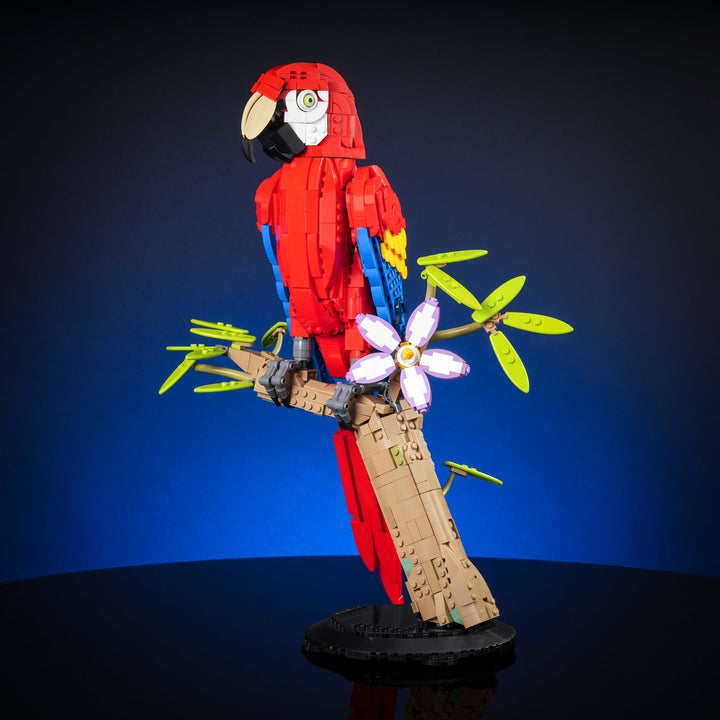 Scarlet Macaw Instructions