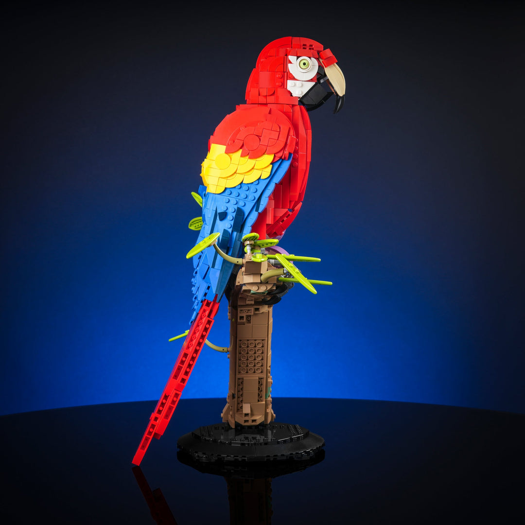 Scarlet Macaw Instructions