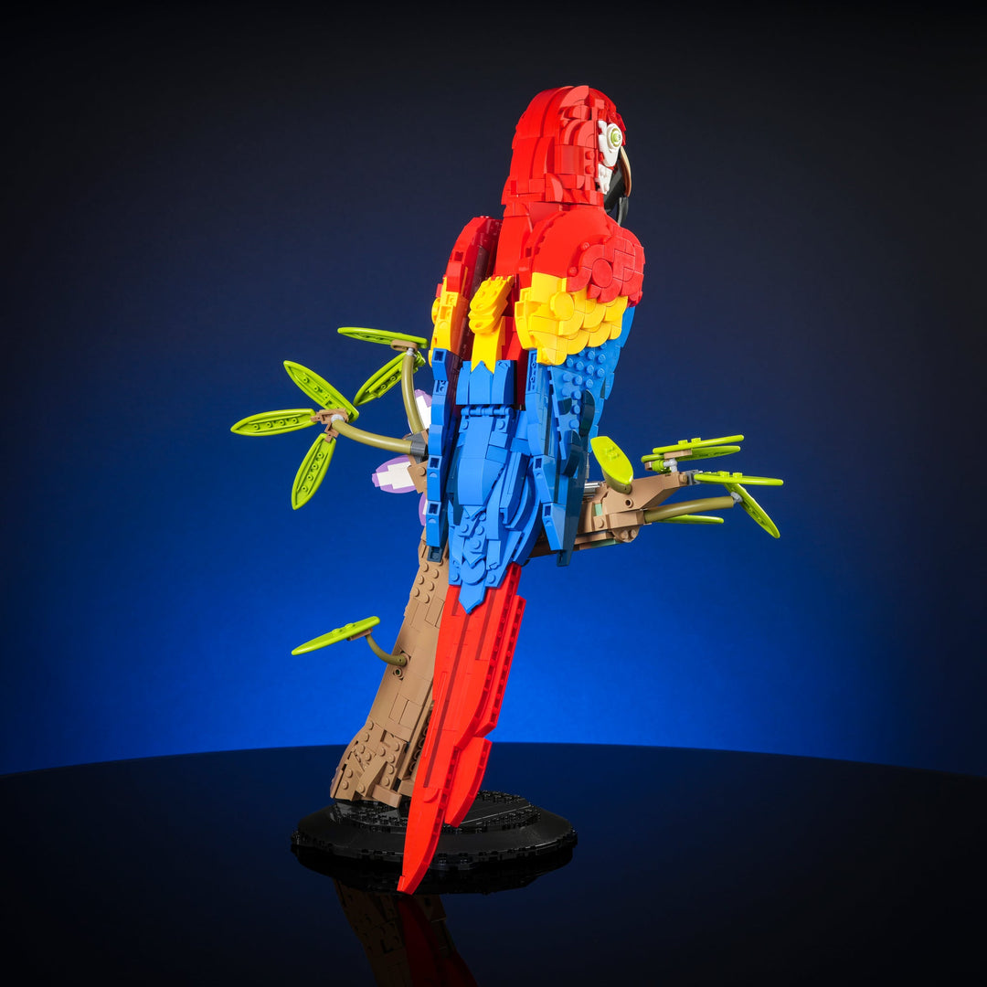 Scarlet Macaw Instructions