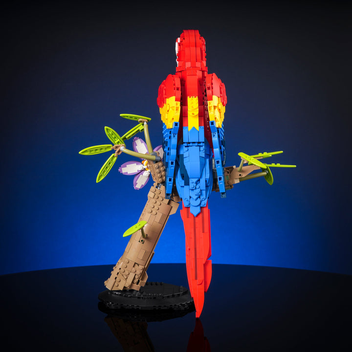 Scarlet Macaw Instructions