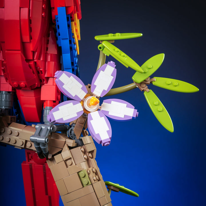 Scarlet Macaw Instructions