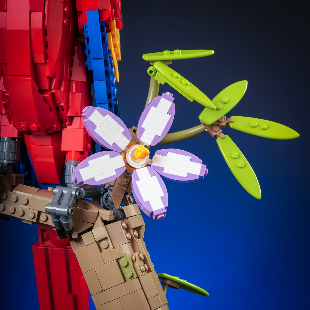 Scarlet Macaw Instructions