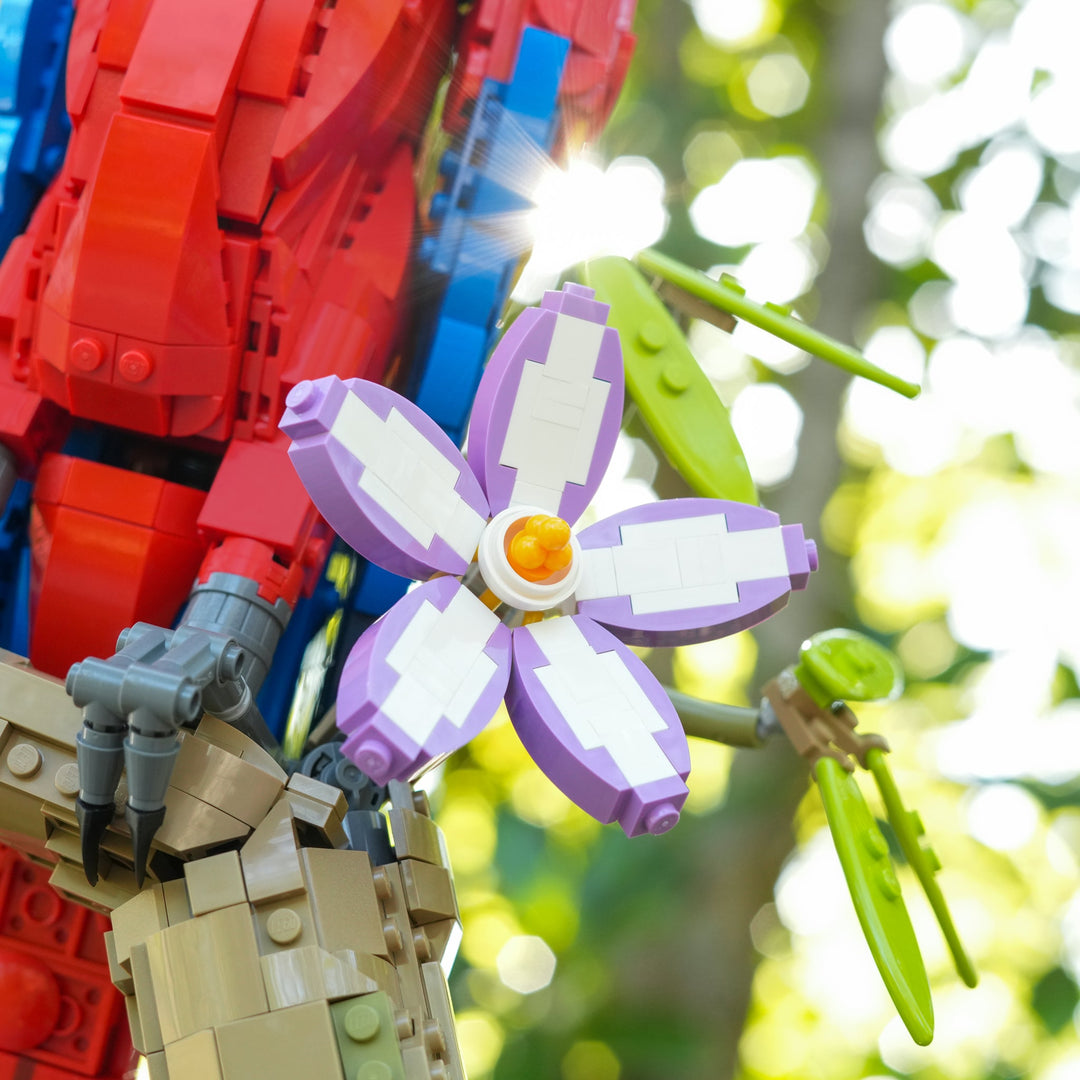 Scarlet Macaw Instructions