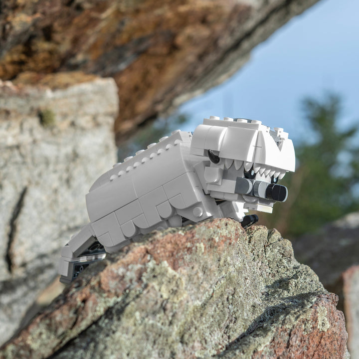 Mini Appa - Bricker Builds