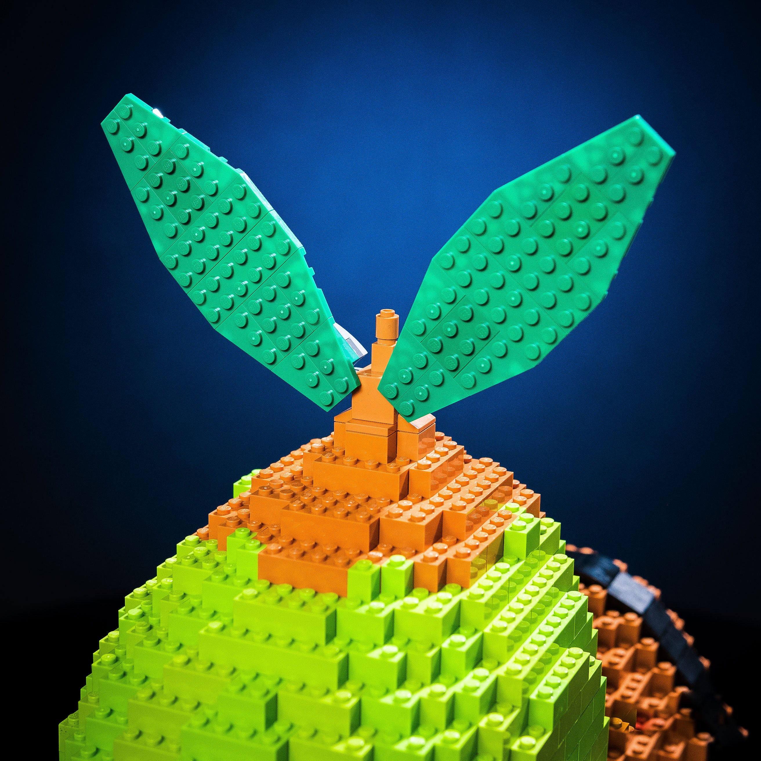 World Turtle Life-Sized Sculpture | Build it Yourself with LEGO®